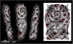 һ����ܿ��ŷ����е�����ָ�