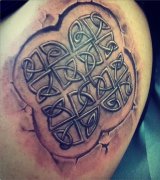 �Ƽ�һ����ι�˺ƤЧ������ͼ��