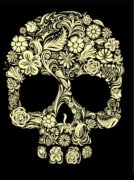 ����һ����Գ���������ͷ����ͼ��