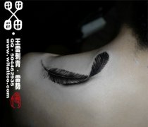 Ů�����С�ɾ����ĺڻ���ë����ͼ��