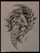 �����ܿ��ŷ��һ��3D�����ָ�