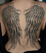 �Ƽ�һ�����������������ʹ�������ͼ��