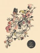 ����һ�����û��������ָ�