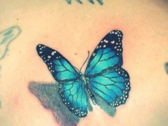 ����һ�������Եĺ�������ͼ��