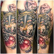 һ��Ψ�������Ĵ����ͷ����ͼ��