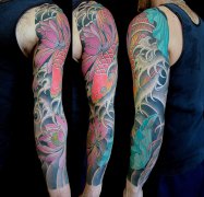 ����һ����Գ�������㻨������ͼ��