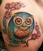 ����һ���ɫ�����èͷӥ����ͼ��