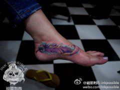 �Ų����о����Ĳ�ɫ��ë����ͼ��