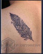 �米����������һ��ͼ����ë����ͼ��