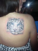 ��Ůһ����������ļ��ι��ϻ�����ͼ��