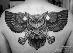 󱳳ʱеĺڻèͷӥͼ