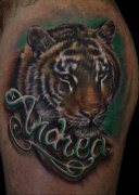 �Ȳ�˧��������һ�ͷ����ͼ��