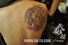 �󱳺ܿ�˧����һ���ɫ��ͷ����ͼ��