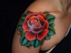 �Ƽ�һ���ʱ�еļ��õ�廨����ͼ��