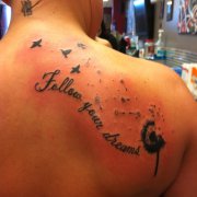 ����һ��ʱ�г����ļ��ι��ѹ�Ӣ����ͼ��