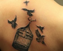 �󱳳���ʱ�е�С������������ͼ��