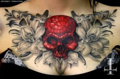 �Ƽ�һ�������������������ͼ��