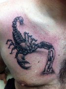 �Ƽ�һ�����Ǹ���дʵ��Ы������ͼ��