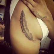 ����һ��ʱ�кÿ��Ĳ�����ë����ͼ��