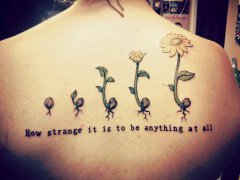 �Ƽ�һ����Ů�󱳸���ʱ�е����տ�����ͼ��