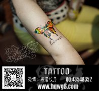 һ���ɫ����Ψ���ĺ�������ͼ��