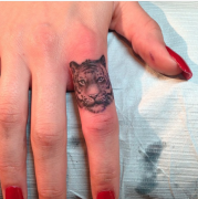 �Ƽ�һ��С������ָ�ϻ�����ͼ��