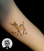 �Ƽ�һ��ʱ��Ψ����С¹����ͼ��