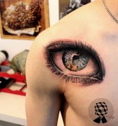 ����һ���������������۾�����ͼ��