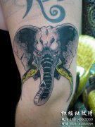 ����һ�����Ψ������������ͼ��