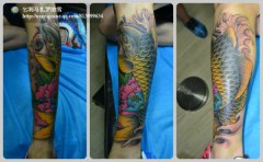 һ���ʱ�е�С����������ͼ��