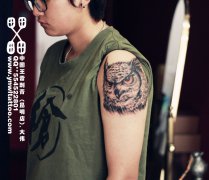 ���˴��һ��Ψ��ʱ�е�èͷӥ����ͼ��