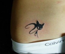 ����һ��ʱ�и��Ե�è������ͼ��