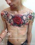 ������ǰһ�����ʱ�е�õ�廨����ͼ��