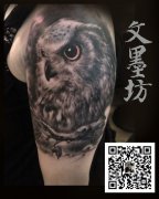 ���˴��һ�����ʱ�е�èͷӥ����ͼ��