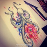 ��ɫ����õ�廨�����ָ�ͼƬ