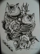 һ��èͷӥõ�廨�����ָ�ͼƬ�ɴ�����ṩ