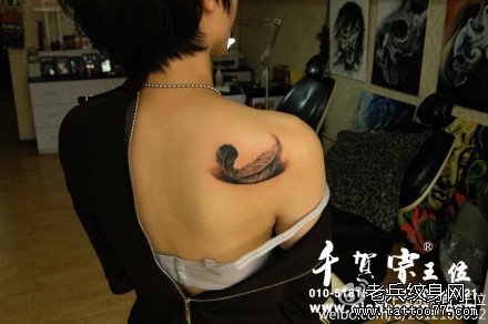 ����ë����ͼ��