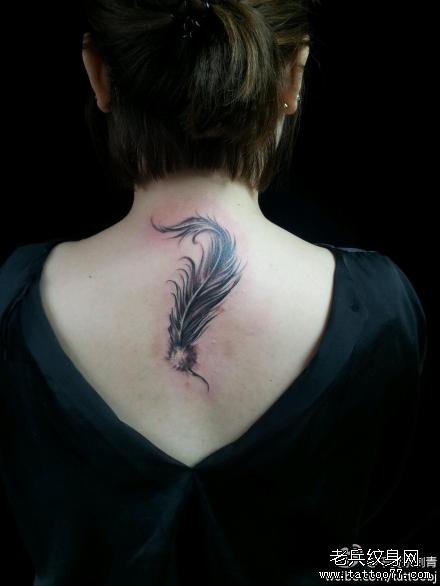 ��������ë����ͼ��