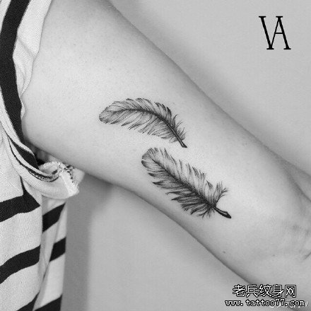 �첲��ë����ͼ��