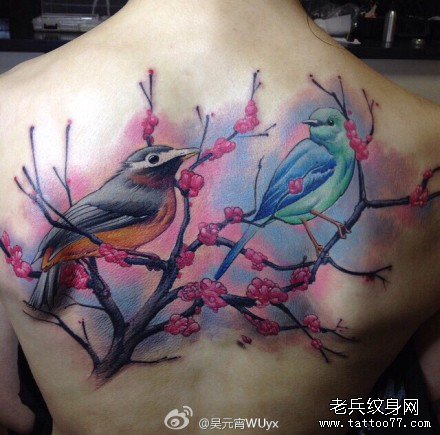 ��ľ������ͼ��