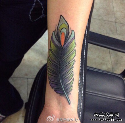 �ֲ�Ư����ë����ͼ��