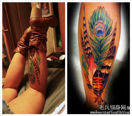 �Ȳ�����ë����ͼ��