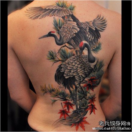 ���ɺ�����ͼ��