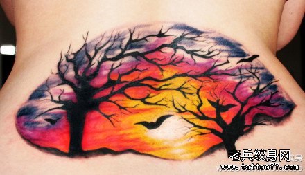 �󱳻ƻ�����ͼ��