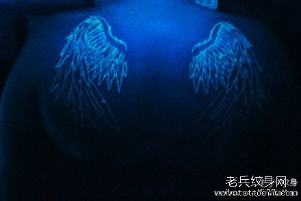 ����ʹӫ����������ͼ��