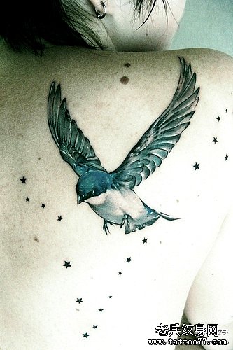 ��С������ͼ��