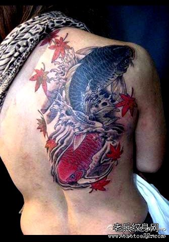 ��˫�ں���������ͼ��