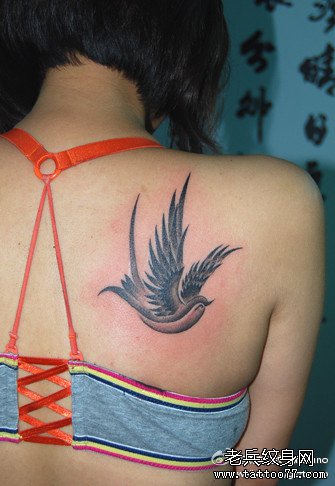 ����������ͼ��