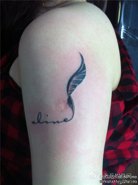 �첲��ë����ͼ��