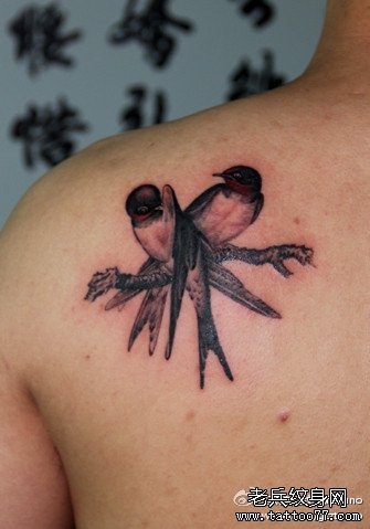 ��˫������ͼ��